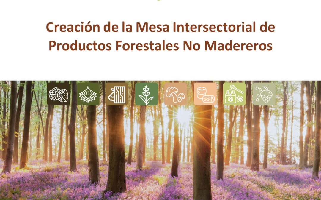 Creación de la Mesa Intersectorial de Productos Forestales No Maderables